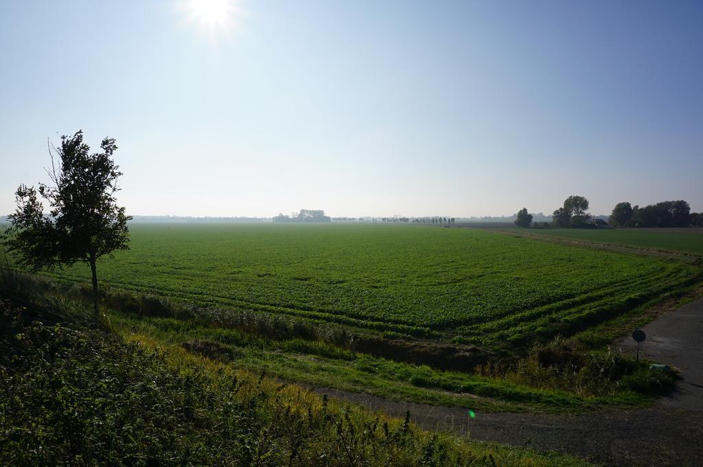 Herberg De Ring Dreischor Dış mekan fotoğraf